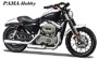 Zobrazit náhled: 2008 XL 1200N Sportster 1200 Nightster