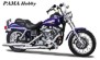 2000 FXDL Dyna Low Rider